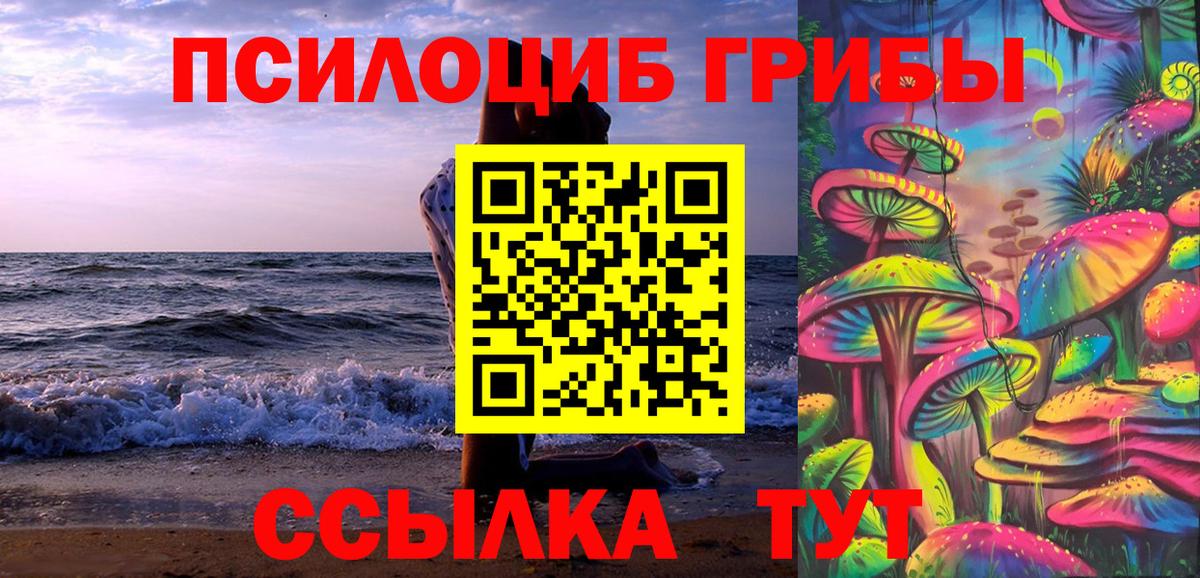 Псилоцибиновые грибы мицелий Александров