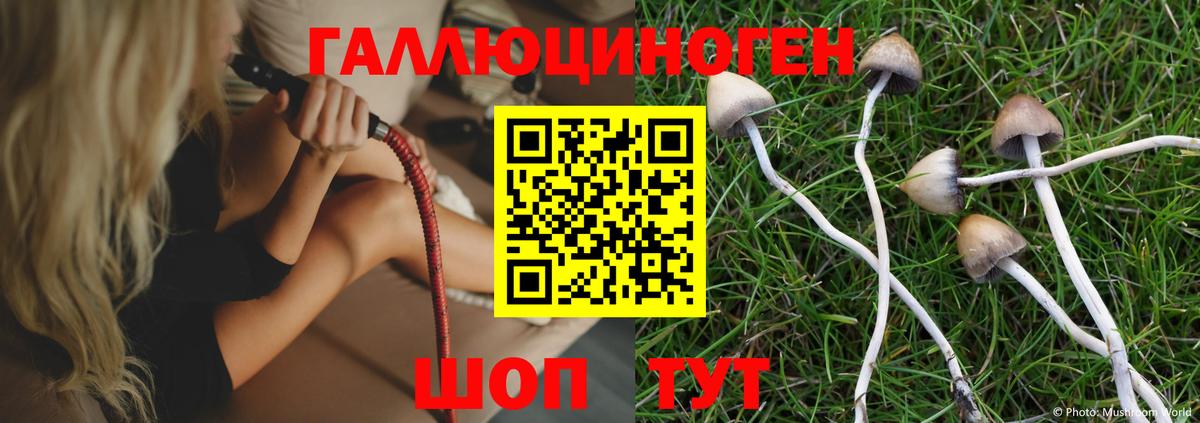 Псилоцибиновые грибы MAGIC MUSHROOMS  Вход с VPN  Александров  Псилоцибиновые грибы мицелий 
